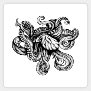 Octopus Sticker